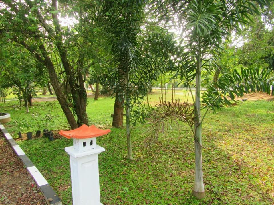 Hotel Tree Garden Wilpaththu Nochchiyagma Anuradhapura Nochchiyagama Exterior foto