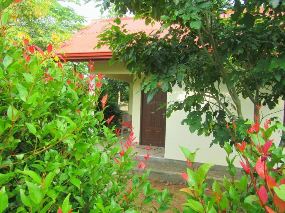 Hotel Tree Garden Wilpaththu Nochchiyagma Anuradhapura Nochchiyagama Exterior foto
