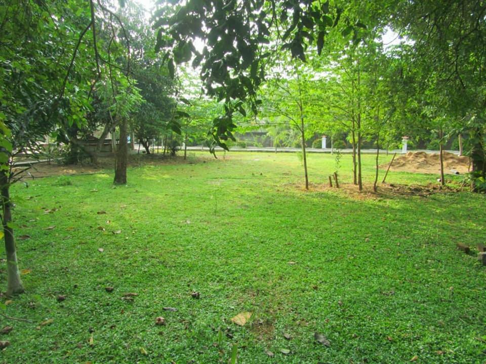 Hotel Tree Garden Wilpaththu Nochchiyagma Anuradhapura Nochchiyagama Exterior foto
