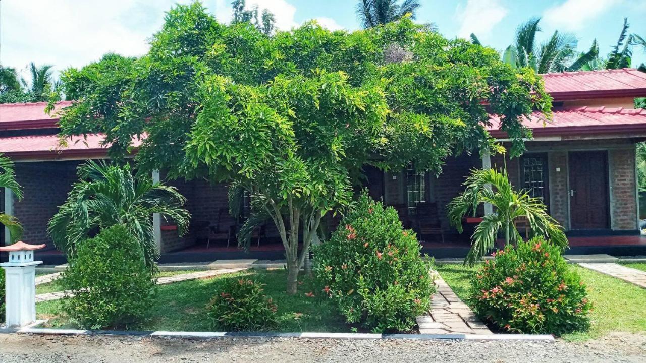 Hotel Tree Garden Wilpaththu Nochchiyagma Anuradhapura Nochchiyagama Exterior foto
