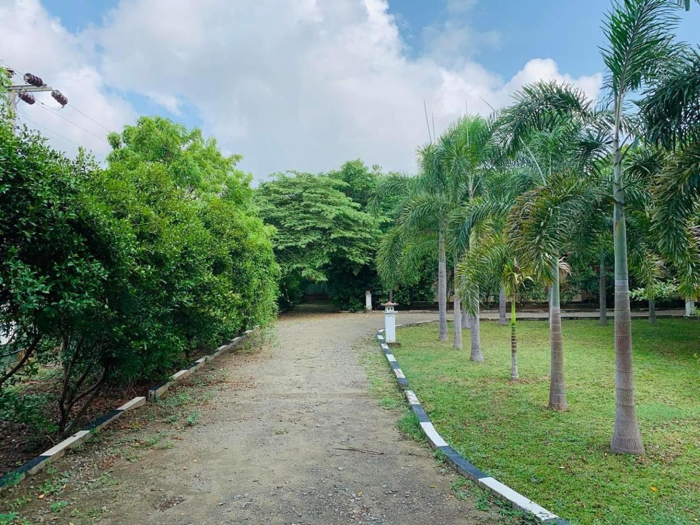 Hotel Tree Garden Wilpaththu Nochchiyagma Anuradhapura Nochchiyagama Exterior foto