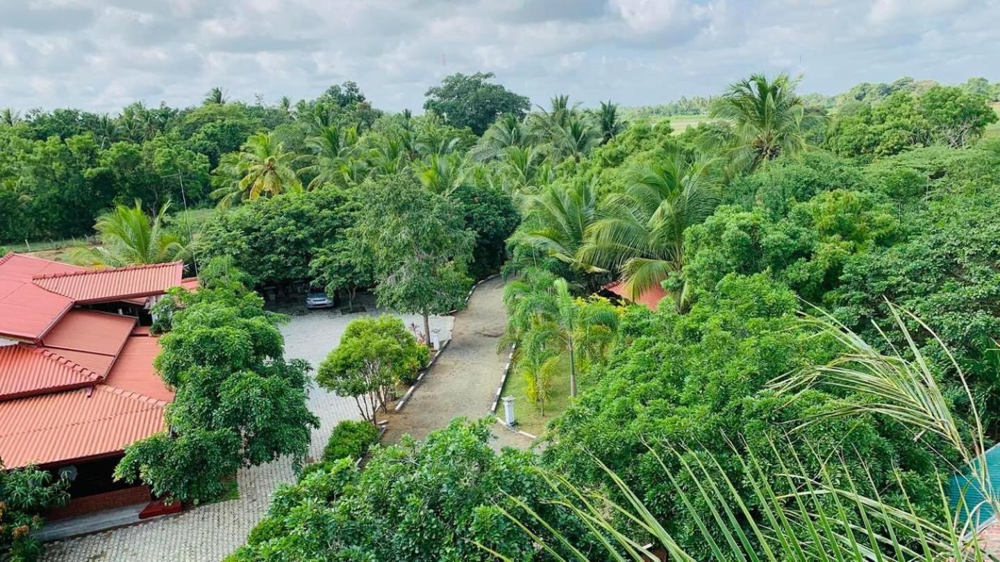 Hotel Tree Garden Wilpaththu Nochchiyagma Anuradhapura Nochchiyagama Exterior foto