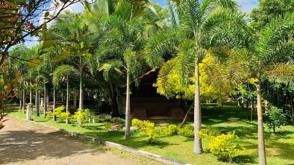 Hotel Tree Garden Wilpaththu Nochchiyagma Anuradhapura Nochchiyagama Exterior foto