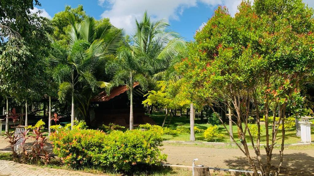 Hotel Tree Garden Wilpaththu Nochchiyagma Anuradhapura Nochchiyagama Exterior foto